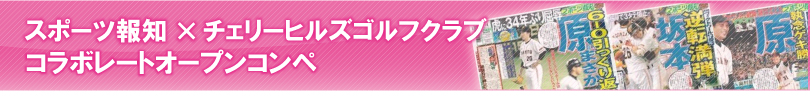 wb_[